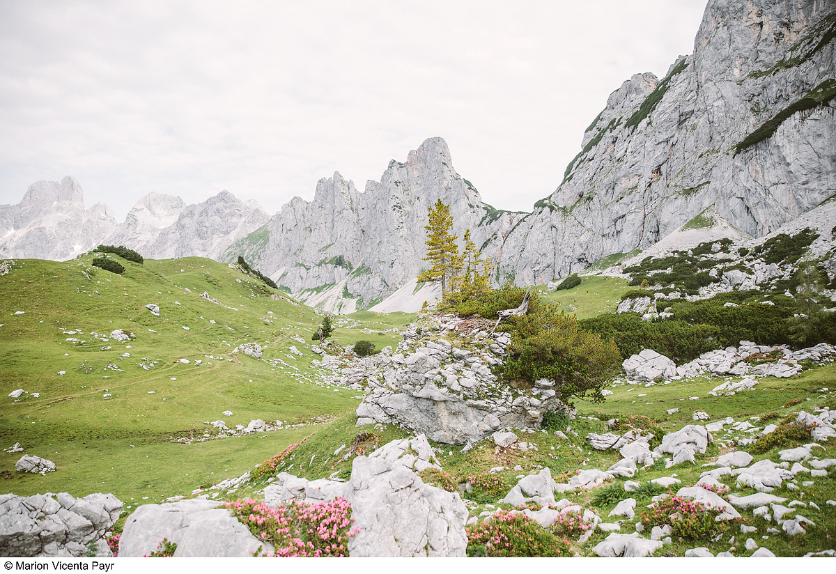 Trek Safari - King Dachstein Trail pro běžce 31